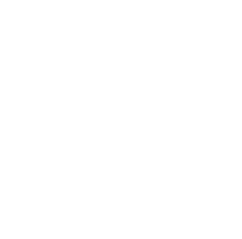 Lot Riot